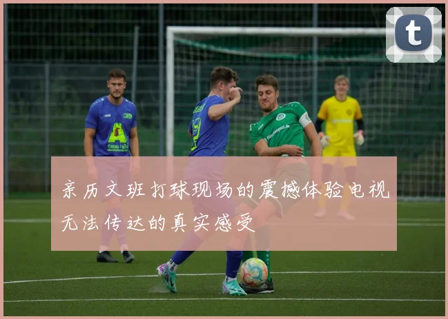 亲历文班打球现场的震撼体验电视无法传达的真实感受