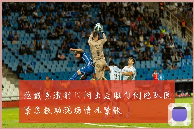 范戴克遭射门闷击后脑勺倒地队医紧急救助现场情况紧张
