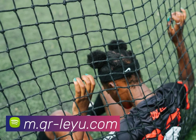 乐鱼体育品牌故事