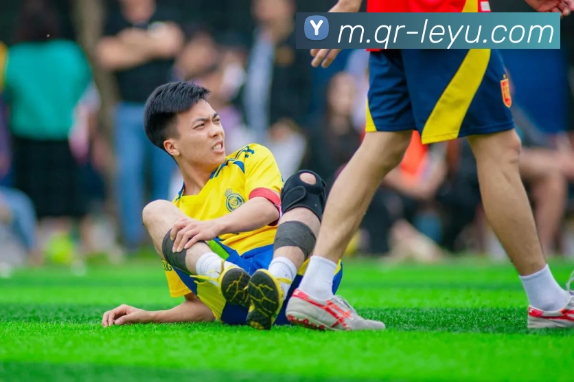 乐鱼体育服务体系